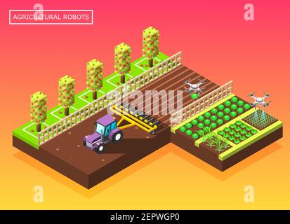 Agricultural robots isometric composition with tractor plowing field and helicopter watering vegetable beds vector illustration Stock Vector