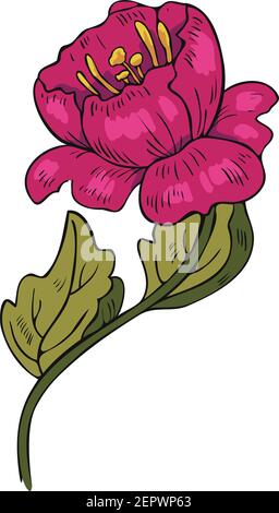 Vector illustration of an abstract blooming flower. Pink flower design. Stock Vector