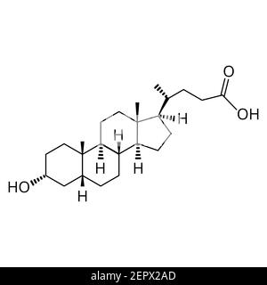 Lithocholic acid. Bile acid. Chemical molecular formula Lithocholic acid. Vector illustration on isolated background Stock Vector