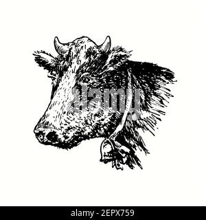 Hand drawn vintage cow head with bell on neck. Ink black and white drawing. Stock Photo