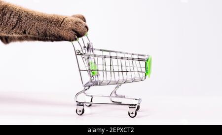Cat paws pushing empty shopping cart on white background, shopping concept, products for cats, empty space in cart, side view, grocery basket. Stock Photo