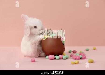 Cute white Easter bunny rabbit with chocolate egg and colorful sweets on pink background Stock Photo