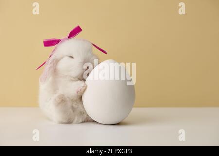 White baby rabbit with pink bow sleeping on big Easter egg Stock Photo