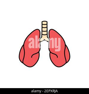 Human organ lungs color line icon. Pictogram for web page, mobile app, promo. UI UX GUI design element. Editable stroke. Stock Vector