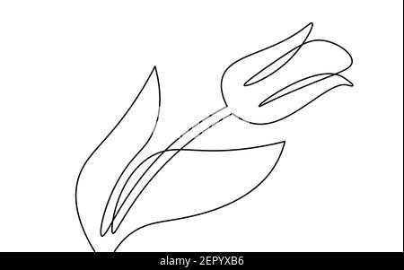 One line tulip flower element. Black and white monochrome continuous single line art. Floral nature Woman day gift romantic date illustration sketch Stock Vector