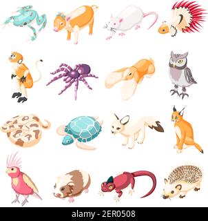 Exotic pets isometric icons set of rabbit turtle parrot lynx rat frog spider monkey hedgehog lizard snake owl cartoon characters vector illustration Stock Vector