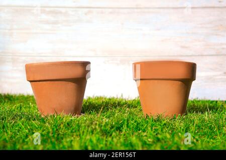 Two Flower pot empty in fresh bright green grass with wooden background for garden,greenery,spring,potting concept background copy space Stock Photo