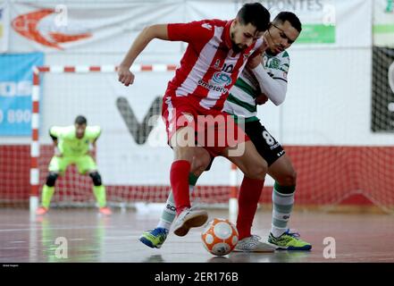 Vila das Aves, 10/30/2018 - The Clube Desportivo das Aves received Sporting  Clube de Portugal this afternoon at the EstÃ¡dio do Clube Desportivo das  Aves, in a game to count for the