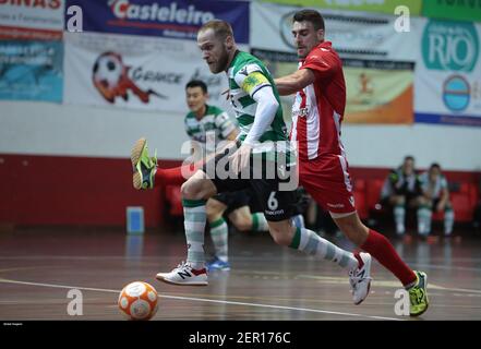 Vila das Aves, 10/30/2018 - The Clube Desportivo das Aves received Sporting  Clube de Portugal this afternoon at the EstÃ¡dio do Clube Desportivo das  Aves, in a game to count for the