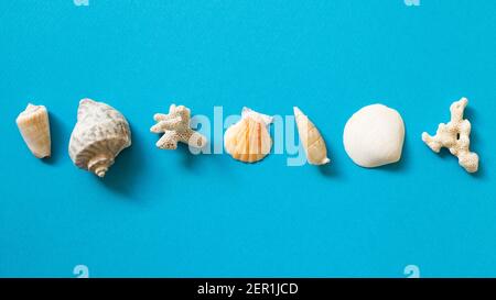 Shellfish on blue background. summer marine decoration. flat lay, top view, copy space Stock Photo