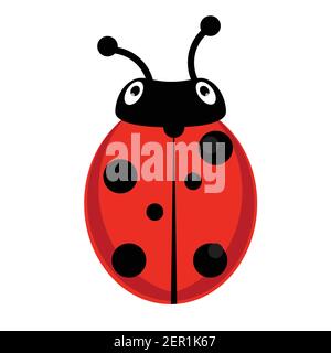Vector illustration insect ladybird. Cute ladybug cartoon icon flat design. Stock Vector