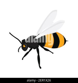 Vector illustration honey bee. Flying queen bee isolated on white background. Bee icon Stock Vector