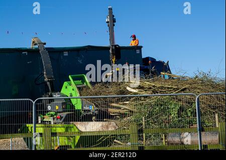 Aylesbury, Buckinghamshire, UK. 26th February, 2021. HS2 have felled a big area of hazel coppice formerly home to dormice. They have also felled many of the trees in the medieval Spinney in Small Dean Lane near Wendover, Aylesbury. Entire eco systems were being destroyed by HS2 today as they put trees they have felled into a wood chipper filling up a huge juggernaut with wood chips. High Speed Rail 2 are carving a huge scar across the Chilterns an Area of Outstanding Natural Beauty for the controversial rail link from London to Birmingham. Credit: Maureen McLean/Alamy Stock Photo