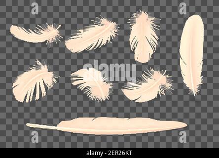 Realistic feathers transparent set with isolated images of fluffy bird ...