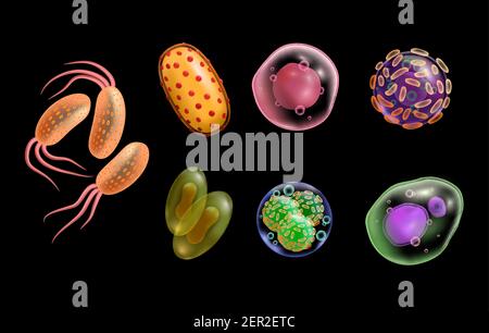 Pathogenic Microbe Lab 3d bacteria. Virus, bacterium or parasite cell, pathogen skin ...