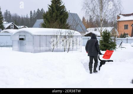 Adult man in black winter clothes shoveling snow in the garden from a sidewalk or driveway with a lightweight red snow shovel, on a cold sunny day. Stock Photo