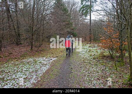 Elderly couple walking along footpath trail through a remote woodland forest in rural countryside landscape in winter Stock Photo