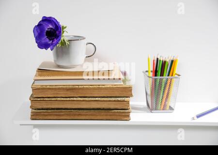 One blue anemone in a cup in the style of the seventies on the table with books as an interior decoration. Pencil holders with pencils Stock Photo