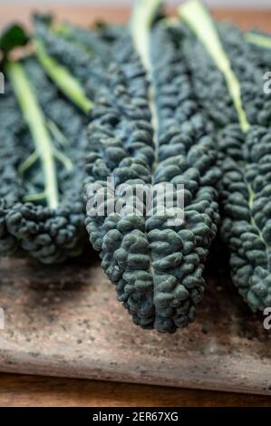 Vegetarian cooking with black flat leaves of cavolo nero tuscan cabbage Stock Photo