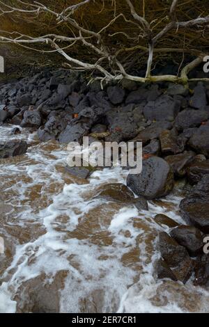 Lava rock and waves on Espumilla Beach, Santiago Island, Galapagos Islands, Ecuador Stock Photo