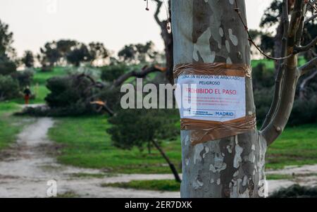 Madrid, Spain - February 28, 2021: Notice at Casa del Campo Park in Madrid for falling trees following heavy snowstorms in January 2021 Stock Photo