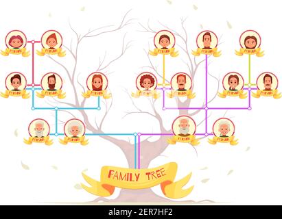 Family genealogy infographic avatars of relatives with color connection lines on tree background cartoon vector illustration Stock Vector