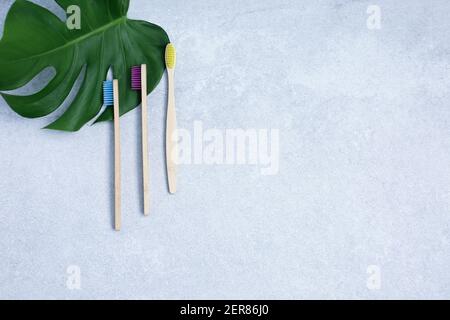 Bamboo toothbrushes and green leaf on light stone table. Zero waste concept for self-care . Plastic-free, organic Stock Photo
