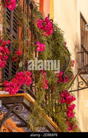 Closeup isolated view of a false balcony with narrow ceramic tile deck and metal railings on a vintage house in Seville, Spain. There is pink Mirabili Stock Photo