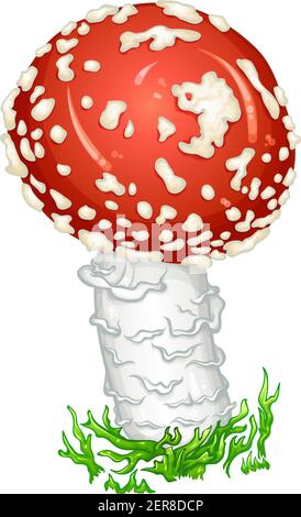 Red Amanita Fly Agaric Mushroom with green moss. Spotted poisonous mushroom. Medicinal, magic, toxic plant. Vector illustration isolated on white background. Icon in cartoon hand drawn style. Stock Vector