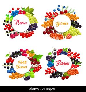 Cartoon berries vector round frames. Strawberry, white grape and blackberry, raspberry, cherry, black and red currant with blueberry. berries sea buth Stock Vector