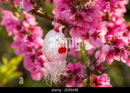 Decorative Easter egg hanging on flowering cherry tree with pink flowers. Easter banner background Stock Photo