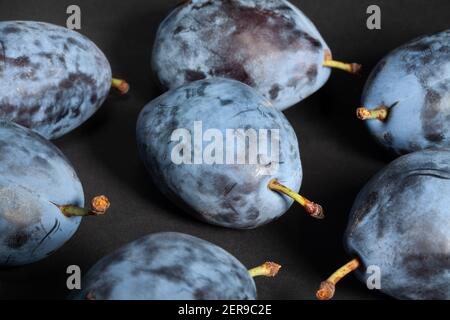 blue plums on black background Stock Photo