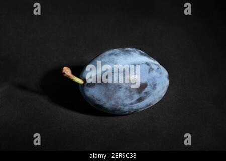 blue plums on black background Stock Photo