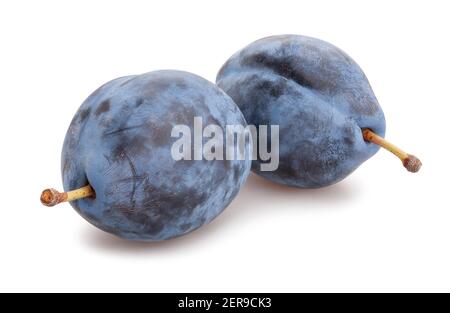 blue plums path isolated on white Stock Photo