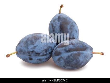 blue plums path isolated on white Stock Photo