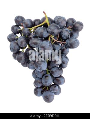 blue grape path isolated on white Stock Photo