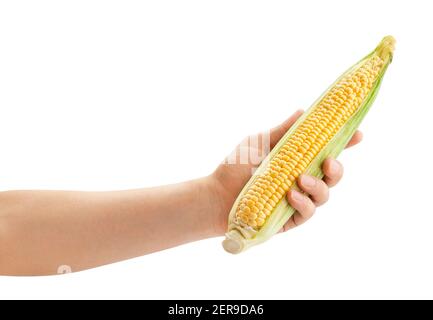 corn in hand path isolated on white Stock Photo