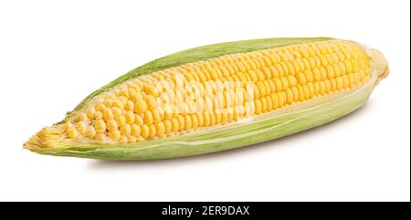 corn path isolated on white Stock Photo