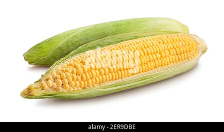 corn path isolated on white Stock Photo
