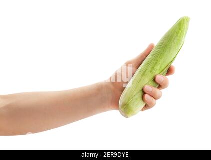 corn in hand path isolated on white Stock Photo