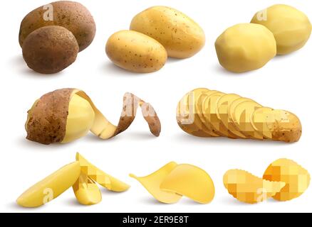 Raw and fried potato set of crude treated chopped and chips on white background realistic vector illustration Stock Vector