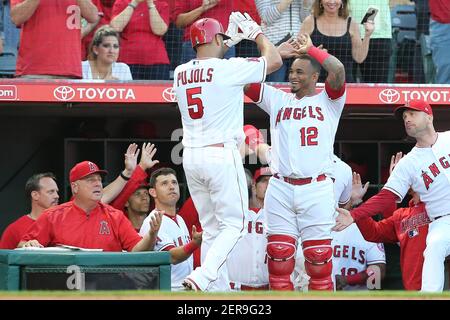 Angels catcher Martin Maldonado knows the value of a good presentation -  Los Angeles Times