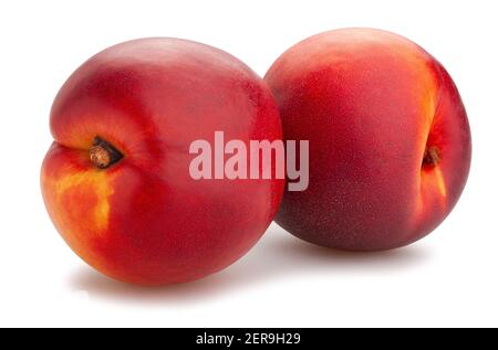 nectarine path isolated on white Stock Photo