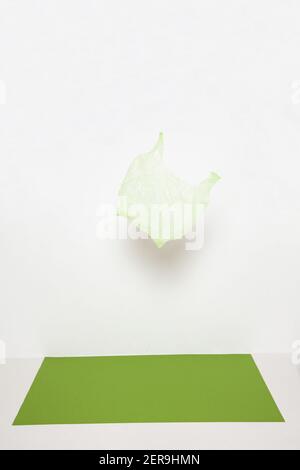 Green plastic bag hanging against white background Stock Photo