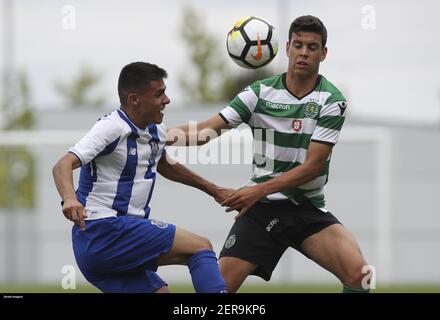 Quero jogar Futebol - Porto e Gaia