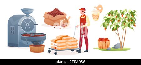 Industrial coffee making process set, coffee plants growing, man working in factory Stock Vector