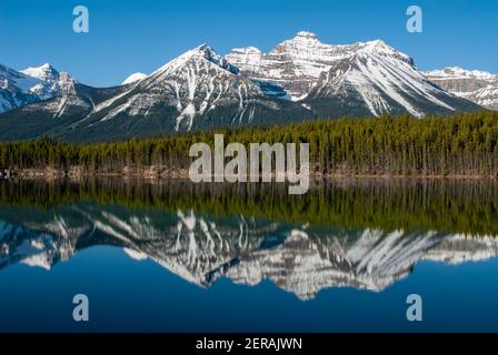 reflection of „Mount Niblock“ in „Herbert Lake“ as seen from Icefields Parkway scenic road in early summer, snow lingering in the higher elevations Stock Photo