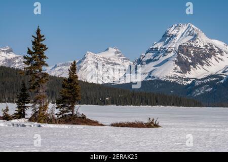 wintry „Bow Lake“ under a snow-blanket, Mount Hector (left) and Bow Peak in the distance near Icefields Parkway in late spring near Icefields Parkway Stock Photo