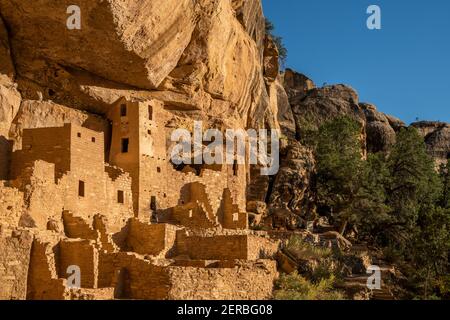 Historic Cliff Palace restored ruins in Mesa Verde National Park Stock Photo