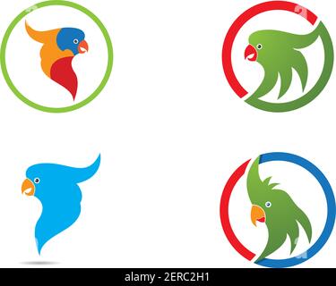 Parrot Logo Design Vector Template Stock Vector Image & Art - Alamy
